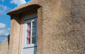 Bareppa thatch roof disadvantages